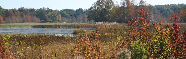 splash_Lake_Lindsey_srd